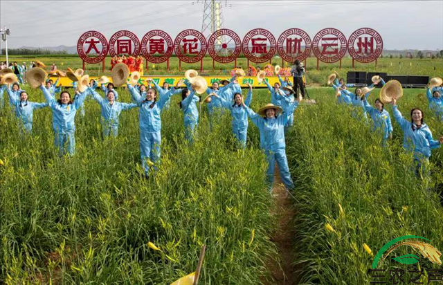 2022年山西省大同市黄花丰收月启动