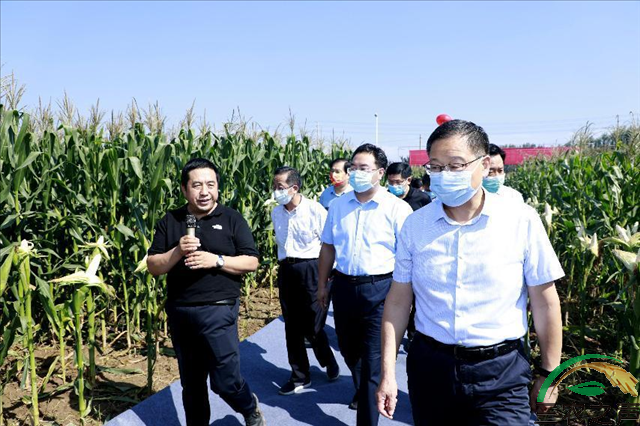 河南新乡县开启“中原农谷”特色玉米产业小镇创建工作