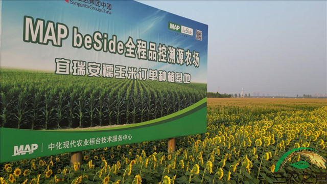 绿色农业再添新地标：先正达集团中国与雀巢中国共建首个再生农业联合示范基地
