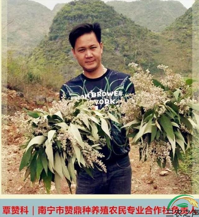 为了牵住增收致富的“牛鼻子”，他负重而行修建养牛场