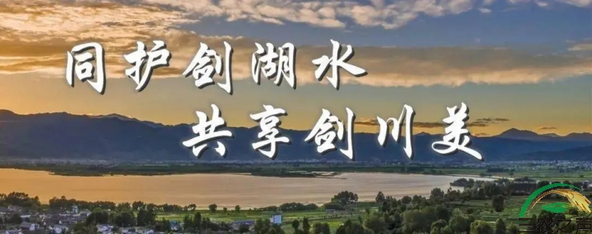政策支持品牌发展：打造更好的剑川
