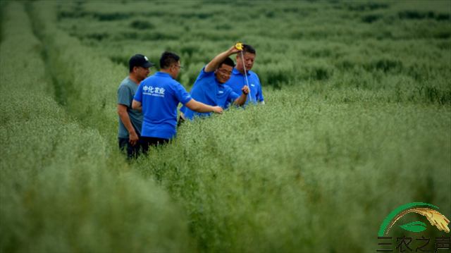 MAP携手阿旗打造产业帮扶新模式，“丰收新时代”五度走进美丽乡村