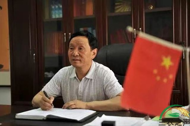 翟坡镇东大阳堤村党支部书记陈来胜:浅谈关于全过程人民民主在基层实践