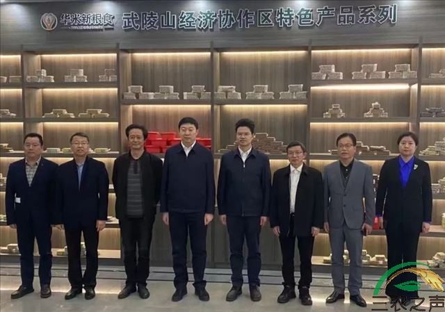 黑龙江省佳木斯市人民政府副市长王金一行考察张家界华米新粮食公司并引进央舆三风健康产业管理（北京）有限公司资本