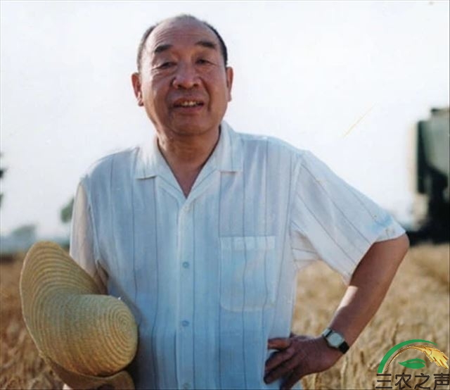 回忆我的父亲史来贺