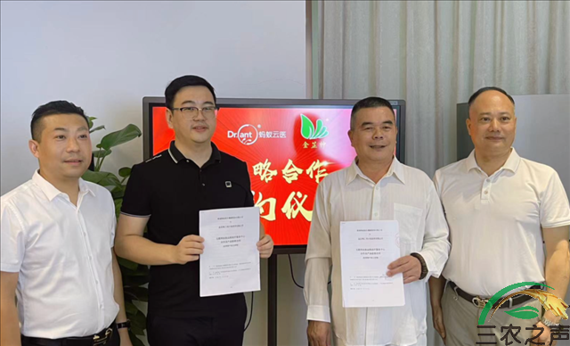 全民健康大讲堂公益活动协作诊疗机构金芷神与蚂蚁云医签订战略合作协议