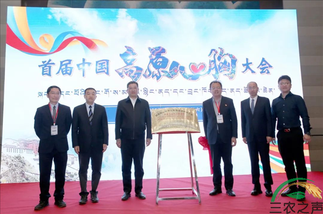 中国初级卫生保健基金会“国家标准化胸部微创诊疗中心”项目启动