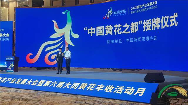 山西大同获授“中国黄花之都”称域暨2023黄花产业发展大会暨第六届黄花丰收活动月启幕