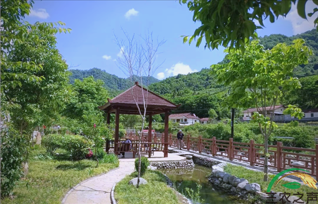 略阳县积极推进多项生态建设，打造美丽家园